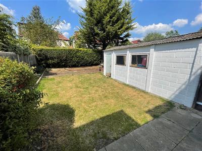 Picture 14